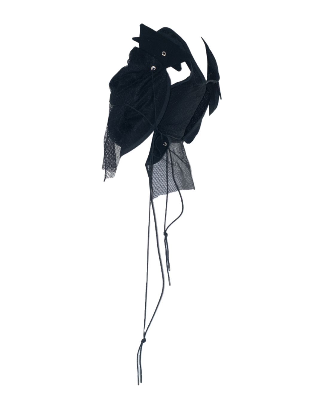 #009